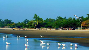 Sonadia Island, Coxsbazar