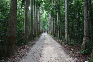 Lawachara National Park, Moulovibazar