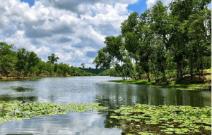 Madhobpur Lake, Sylhet