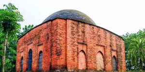 Bibichini Shahi Mosque, Borguna