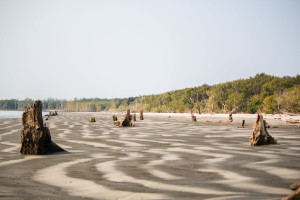 Jamtola Sea Beach, Bagerhat