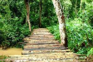 Rema Kalinga, Habiganj